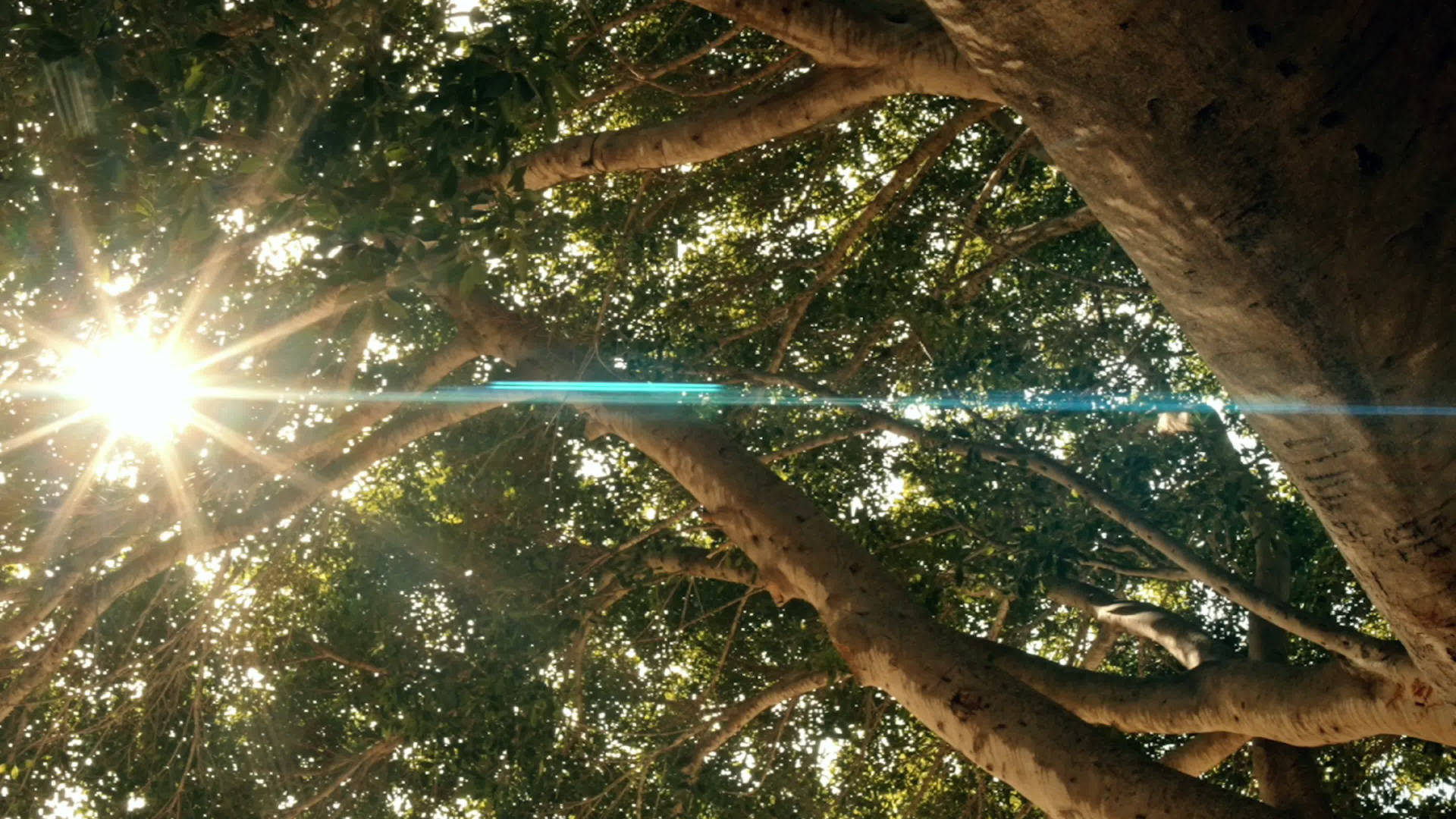 Ethics & sustainability